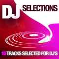 VA - DJ Selections 2010.jpg
