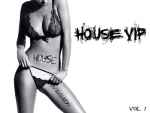 VA - House Vip 13 April 2010.jpg